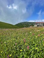 Uzungol Karester Villa Apart