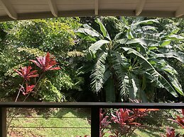 Mikado Natural Lodge