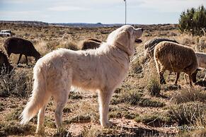 Shash Dine' EcoRetreat