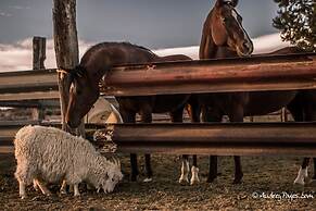 Shash Dine' EcoRetreat