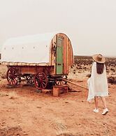 Shash Dine' EcoRetreat