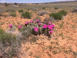 Shash Dine' EcoRetreat