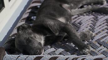 Indian Culture Hostel