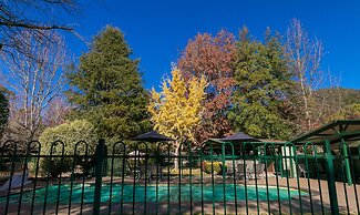 The Birch House - Silver Birches