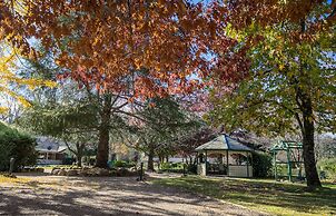 The Birch House - Silver Birches