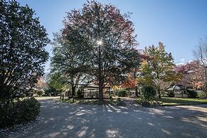 The Birch House - Silver Birches