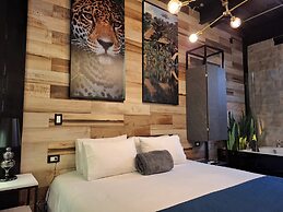 Hotel Lleras Park Concept