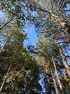 Sítio Colibri - Serra da Mantiqueira