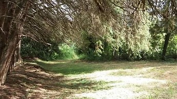Sítio Colibri - Serra da Mantiqueira