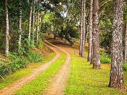 Sítio Colibri - Serra da Mantiqueira