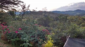 Sítio Colibri - Serra da Mantiqueira