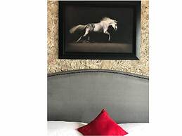 Cabañas Rancho San Jorge