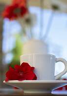 La Finestra sul Colle