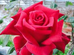 La Finestra sul Colle