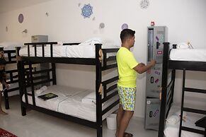 Chunuu Hostal y Glamping Minca