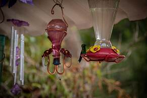 Chunuu Hostal y Glamping Minca