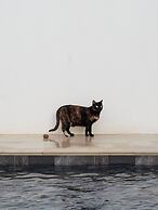 Casa Apollo Guesthouse