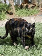 Casa Apollo Guesthouse