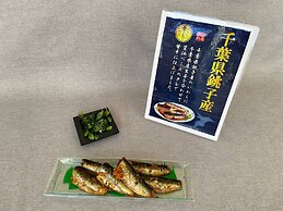Toyoko Inn Nishi Funabashi Baraki Inter