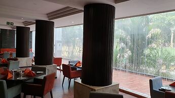 Sea Shell Coral Cove