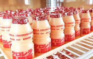 Onyado Nono Asakusa Natural Hot Springs