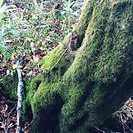 Tabi no Yado, Saikawa