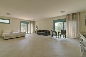 Ouzo Panoramic Houses 2, with private pool