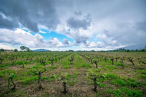 Zante Lagos Holiday Homes