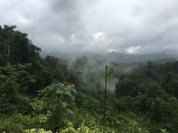 Rainforest Yasmin Hotel