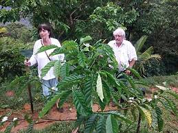 Rainforest Yasmin Hotel