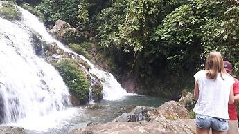 Rainforest Yasmin Hotel