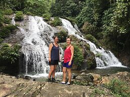 Rainforest Yasmin Hotel