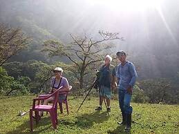 Rainforest Yasmin Hotel