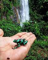 Rainforest Yasmin Hotel