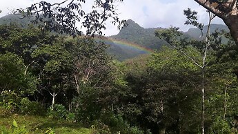 Rainforest Yasmin Hotel