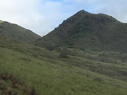 Rainforest Yasmin Hotel