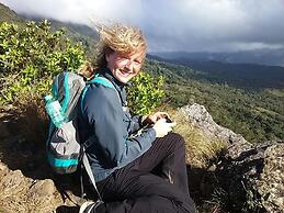 Rainforest Yasmin Hotel