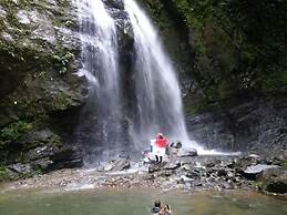 Rainforest Yasmin Hotel