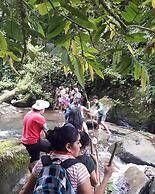 Rainforest Yasmin Hotel