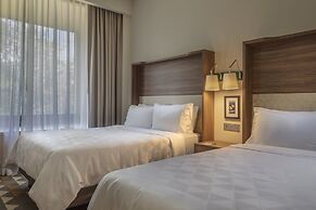 Holiday Inn Tlaxcala by IHG