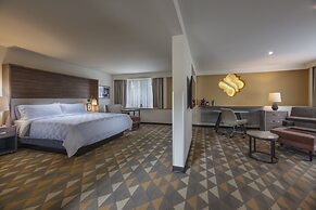 Holiday Inn Tlaxcala by IHG