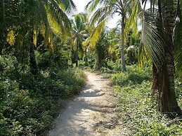 Puerto Caracol Isla Múcura