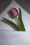 Tripodon Plaka in the shade of Acropolis by GHH