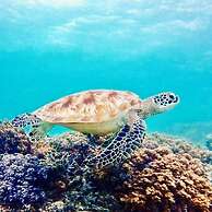 Gili Ocean Club - Adults Only