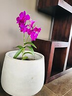 Te Fiti Island Break Mahina