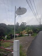 Papaya Guesthouse