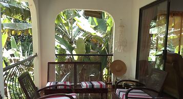 Papaya Guesthouse