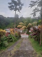 Papaya Guesthouse