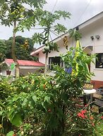 Papaya Guesthouse