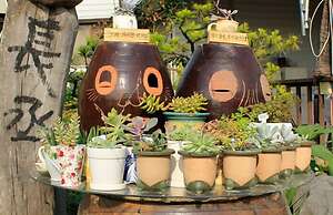 White House on the Hill HayanZip